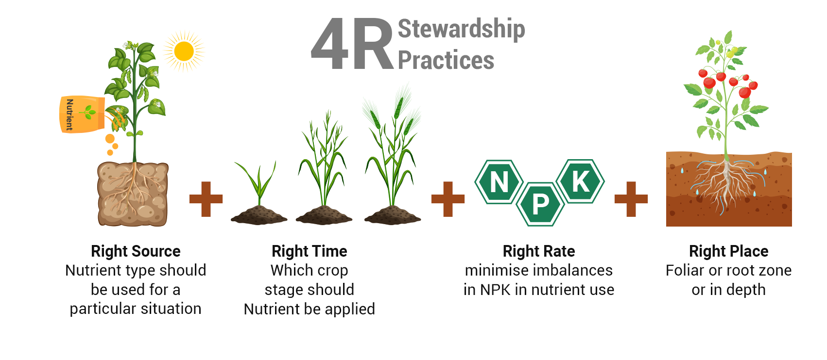4RNutrient-Stewardship-Practices