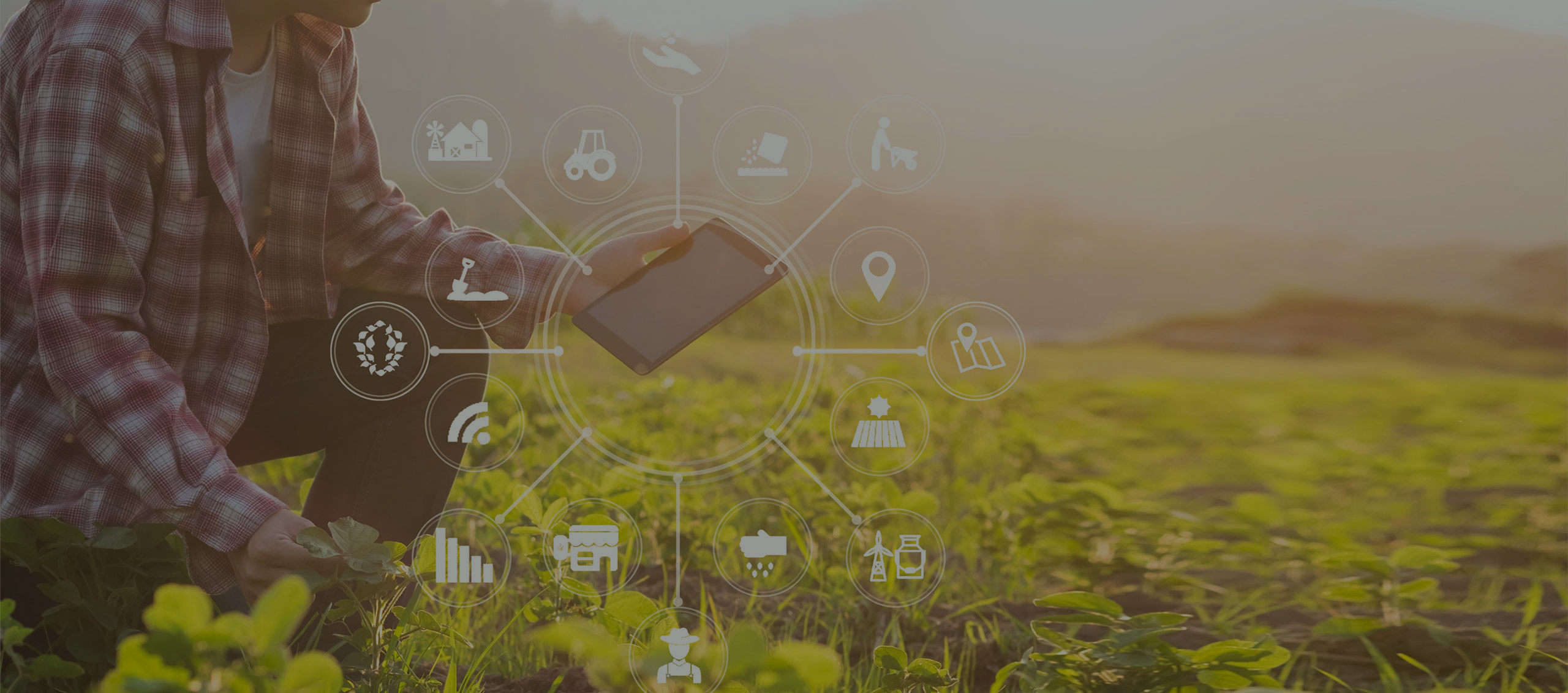 Empowering farmers with end-to-end <br>
                     services & solutions