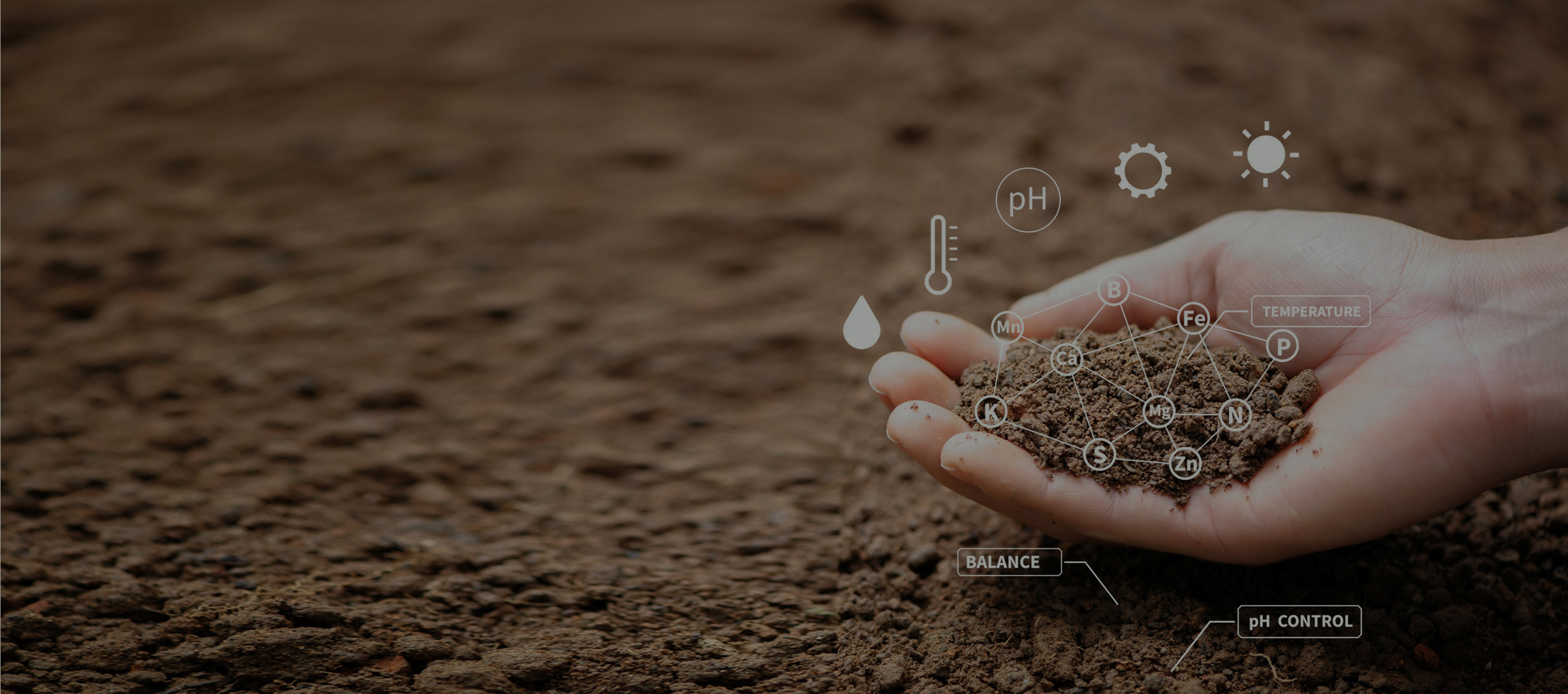 Maximising yields through expert Agronomy services