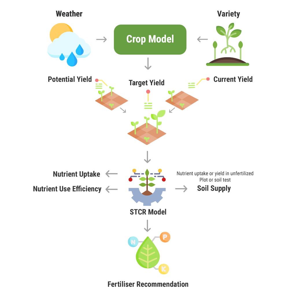 crop-model-1
